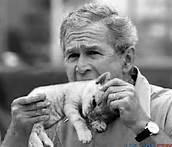 Not sure if fits...just love the picture!