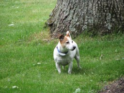 Pictures_061007a 022